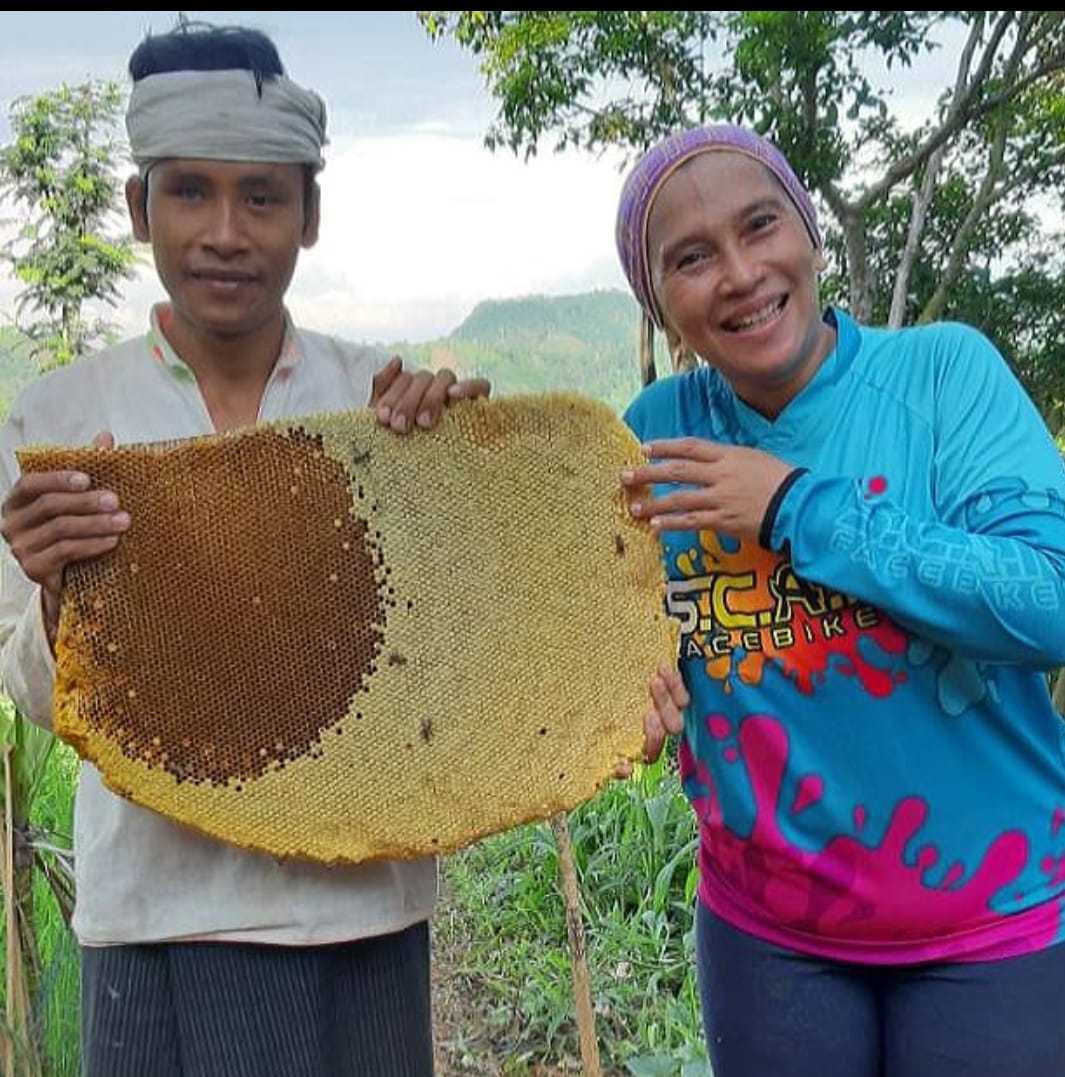 Madu ASLI hutan Baduy