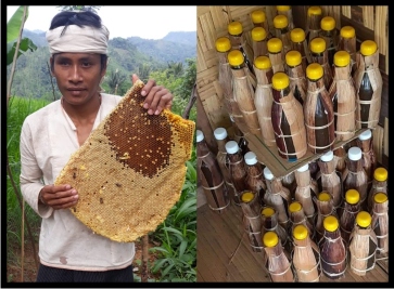 Madu ASLI hutan Baduy