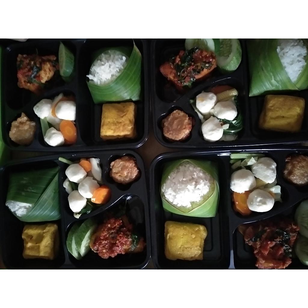 Nasi box paket B